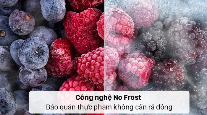 Công nghệ chống đóng tuyết NoFrost